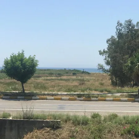 Oezbek Ürkmez